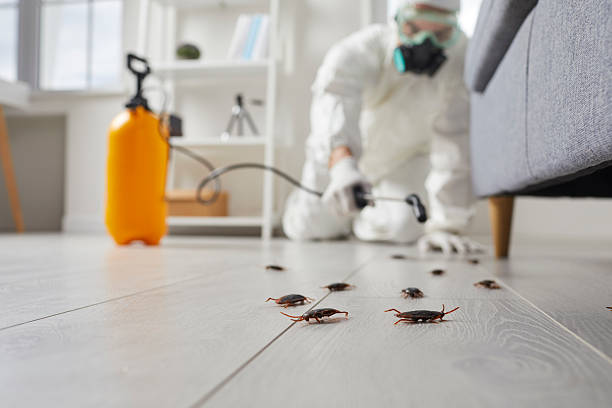 Commercial Kitchen Cockroach Control in Marble Falls